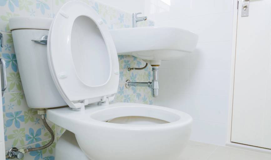 Toilet Repair